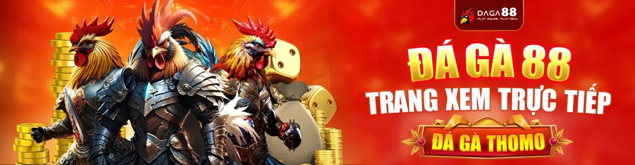 Sàn đấu gà trực tiếp 1888v